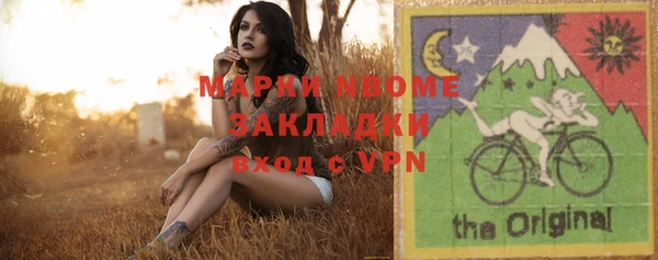 хмурый Козловка