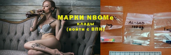 прущие грибы Киренск