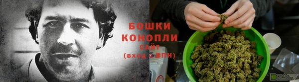 прущие грибы Киренск