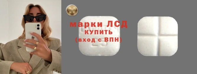прущие грибы Киренск