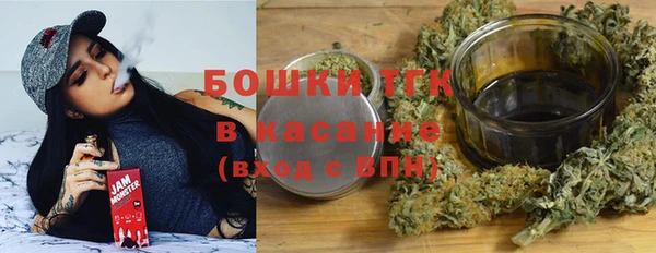 стаф Козельск
