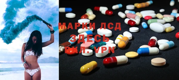 прущие грибы Киренск