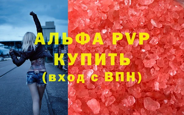 прущие грибы Киренск
