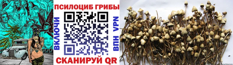 Купить закладки  Крым  Псилоцибиновые грибы прущие грибы 